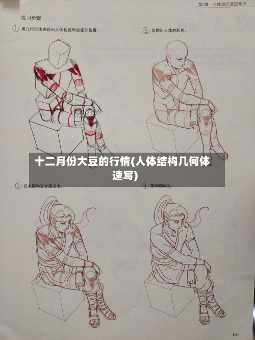 十二月份大豆的行情(人体结构几何体速写)-第2张图片