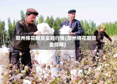 郑州棉花期货实时行情(郑州棉花期货金投网)-第1张图片