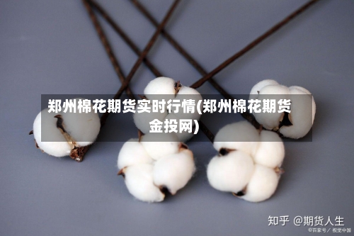 郑州棉花期货实时行情(郑州棉花期货金投网)-第3张图片
