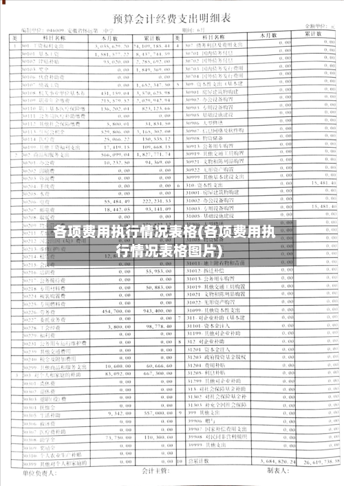 各项费用执行情况表格(各项费用执行情况表格图片)-第1张图片