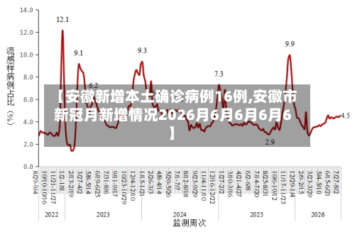 【安徽新增本土确诊病例16例,安徽市新冠月新增情况2026月6月6月6月6】-第2张图片
