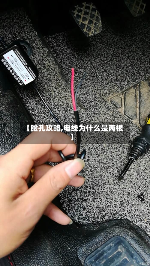 【脸孔攻略,电线为什么是两根】-第3张图片