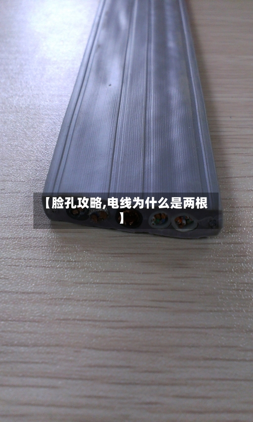 【脸孔攻略,电线为什么是两根】-第2张图片