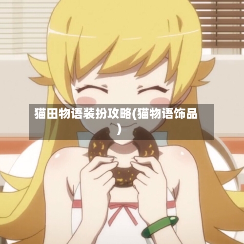 猫田物语装扮攻略(猫物语饰品)