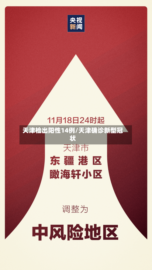 天津检出阳性14例/天津确诊新型冠状-第2张图片