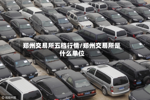 郑州交易所五档行情/郑州交易所是什么单位-第2张图片