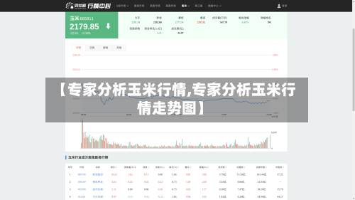【专家分析玉米行情,专家分析玉米行情走势图】-第2张图片