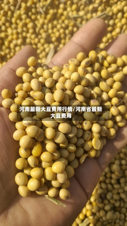 河南最新大豆费用行情/河南省最新大豆费用