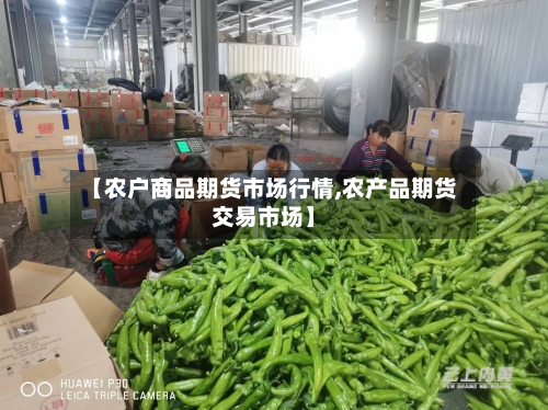 【农户商品期货市场行情,农产品期货交易市场】-第1张图片
