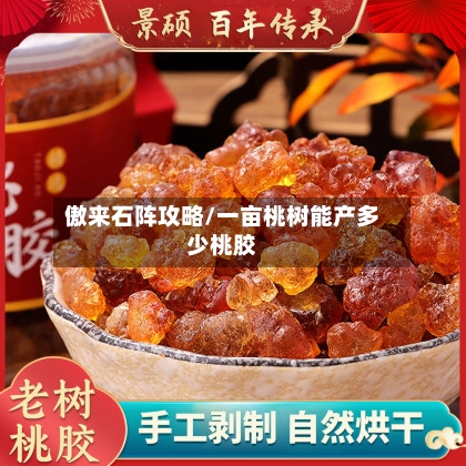 傲来石阵攻略/一亩桃树能产多少桃胶-第2张图片