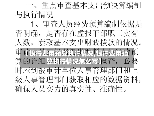 【银行费用预算执行情况,银行费用预算执行情况怎么写】