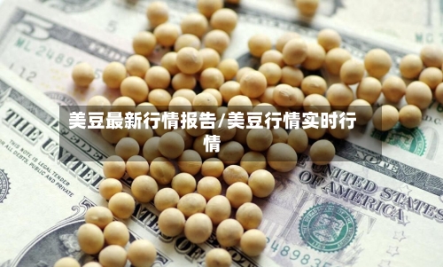 美豆最新行情报告/美豆行情实时行情